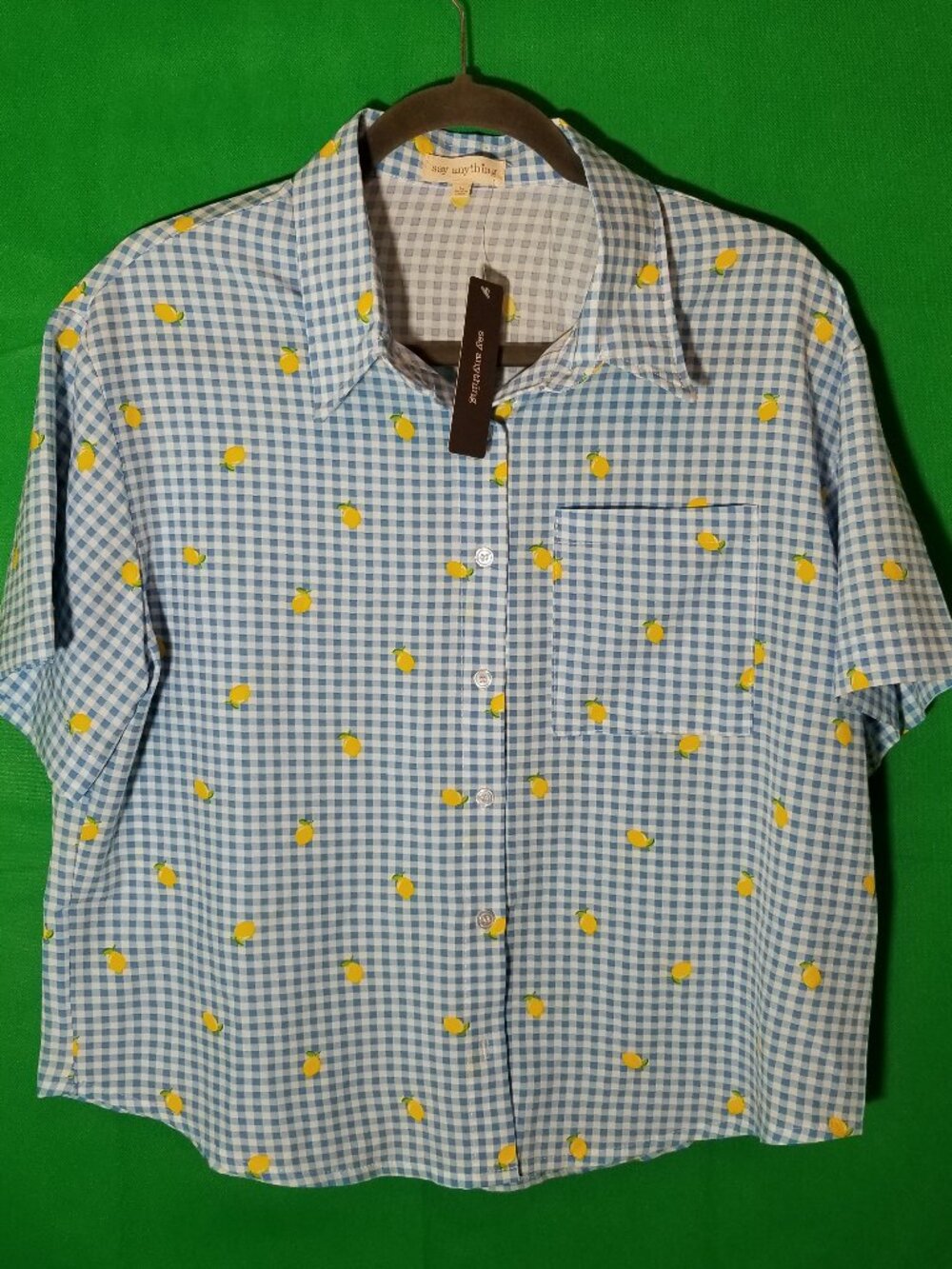 Say Anything Womens Large Button Up Shirt Blue Check Lemon Retro Cottage  NWT‎